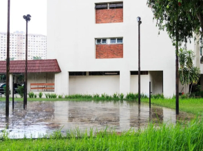 Cozy and Elegant Shahzan Court