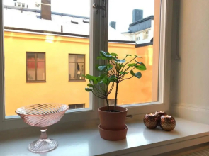 Bohemian and light one room apartment in SoFo 31sqm