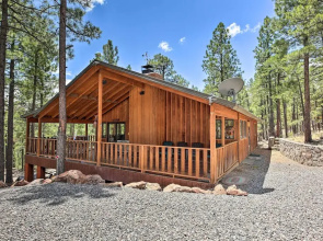 Hike, Bike & Ski, 12 Mi to Slopes: Serene Cabin