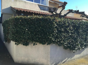 Languedoc Immobilier Appartement Mezzanine Parking Privé Piscine - Ca58