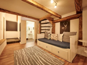 Lakeside Tiny House Brienz