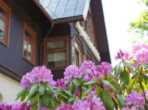 Berghotel Friedrichshöhe