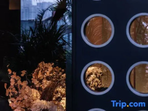 Wuyu Mountain Resort Hotel (Chongqing Nanbin Road Changjiahui Branch)