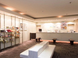 Ariston Hotel Miyazaki