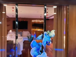 Davidon Yacht