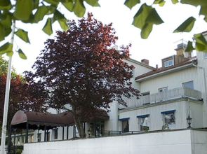Mjolby Stadshotell, Sure Hotel Collection by Best Western