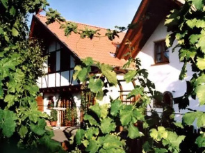 Weingut Magdalenenhof