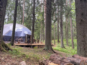 Вили Улей Карелия