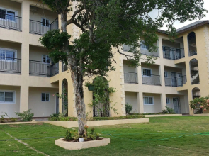 New Kingston Guest Apartment at Donhead