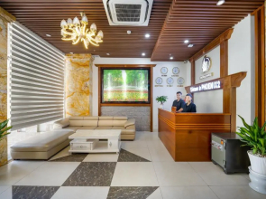 Cherry Hotel & Apartment Da Nang - Phoenix 2 Hotel