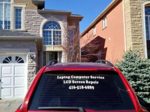Pet friendly, Walkout Ravine basement