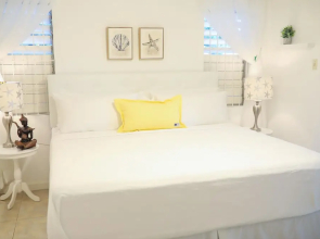 New Kingston's Deluxe Apartment