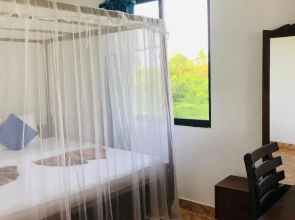 Surf Paradise & Cabana