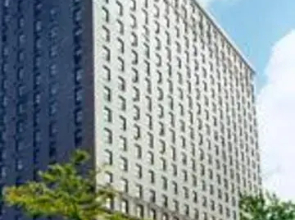the Leland