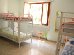 Olive Tree - Hostel