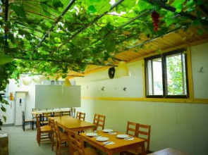 Vinifera Country House