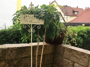 Haus Luitpold