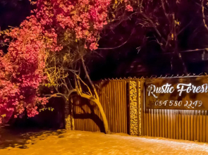Rustic Forest Guest House