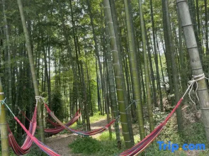 Southern Sichuan Bamboo Sea Forest Resort Homestay