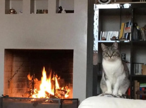La Casina Dei Gatti