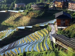 Longji Terrace Ink Painting Pristine Hotel