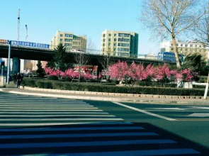 Jixi Edinburgh Hotel