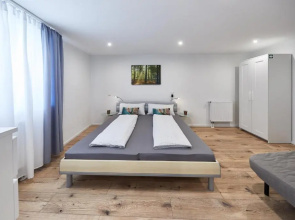 Wohnung 7 - nur 5-10 min vom Europa-Park