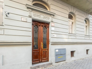 Downtown 2 rooms flat with garden and free garage parking