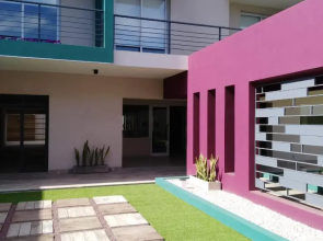 Garden 33