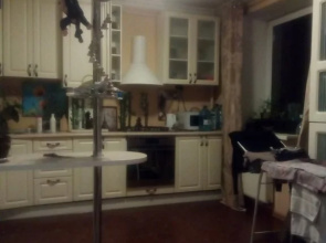 Apartamentyi Bazhenova 13