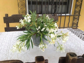 Casa rural LO SOTO