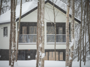 LYS GRACIEUX【Ezo Fuji hoothills】