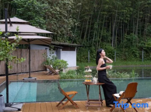 Creek Resort