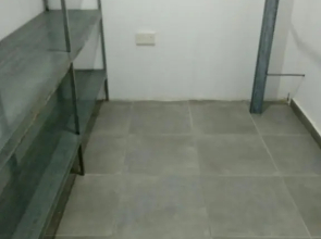 Large basement house
