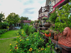 Gasari Kkotnimiinae Pension