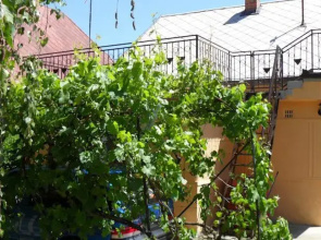 Tomi Apartman Harkány
