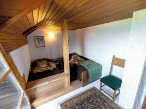 Vineyard cottage Rustika
