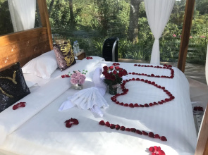 Jungle Bubble Lodge Ubud - Campsite