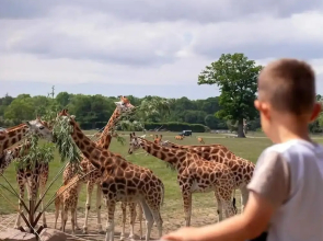 Knuthenborg Safaripark