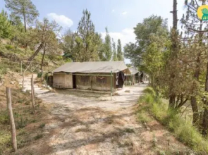 1 BR Tent in Maheshu, Junga, by GuestHouser (AE51)