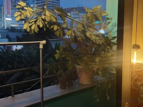 Guanshe City B&B (Dongguan Nancheng Xiping Metro Station Branch)