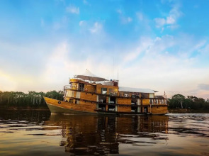 Rivers & Forest Expeditions