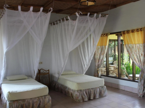 Ecolodge Bukit Lawang