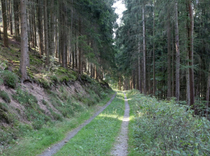 Wohnung in Medebach Nahe Skipisten