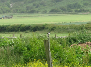 Tollgate Cottages Bed and Breakfast
