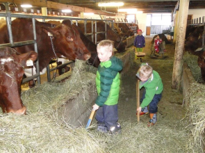 Palfnerhof Appartements