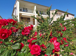 Apartment Ivka Cervia 10688