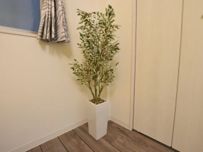 RS-SUMIYOSHI Apartment