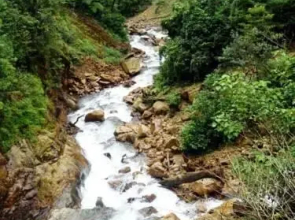 Cabaña Santa Cruz Tepetotutla