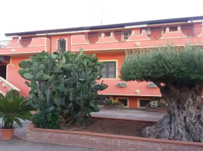 Le Palme